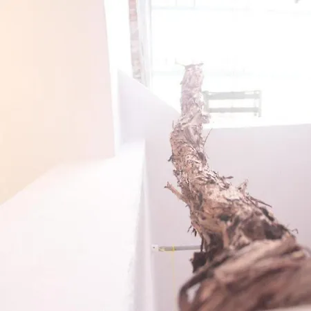 Toniko Apartamento *